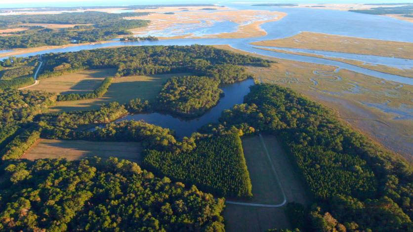 Point Farm Salt Marsh Mitigation Bank